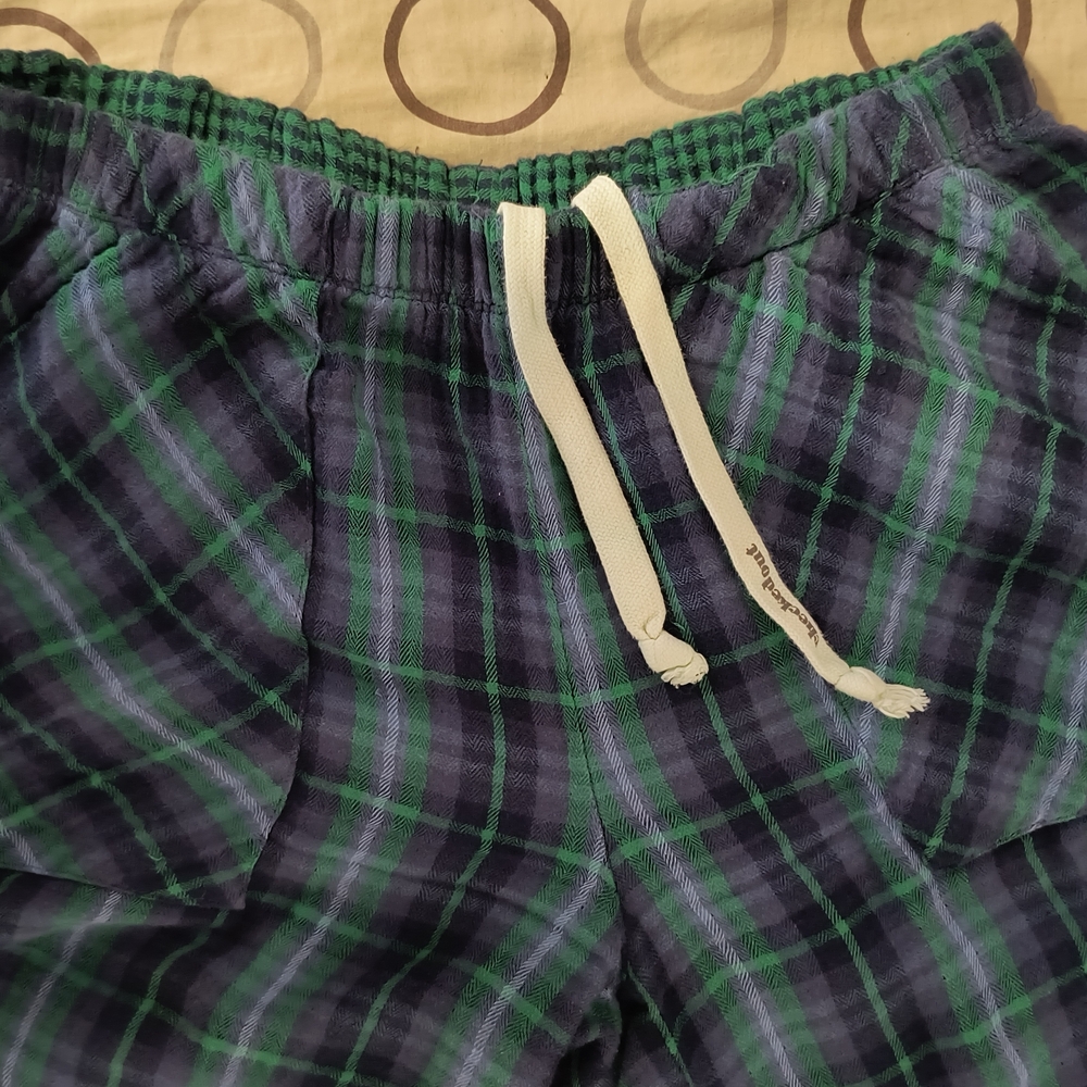 Aerie Blue and Green Plaid Pajama Shorts